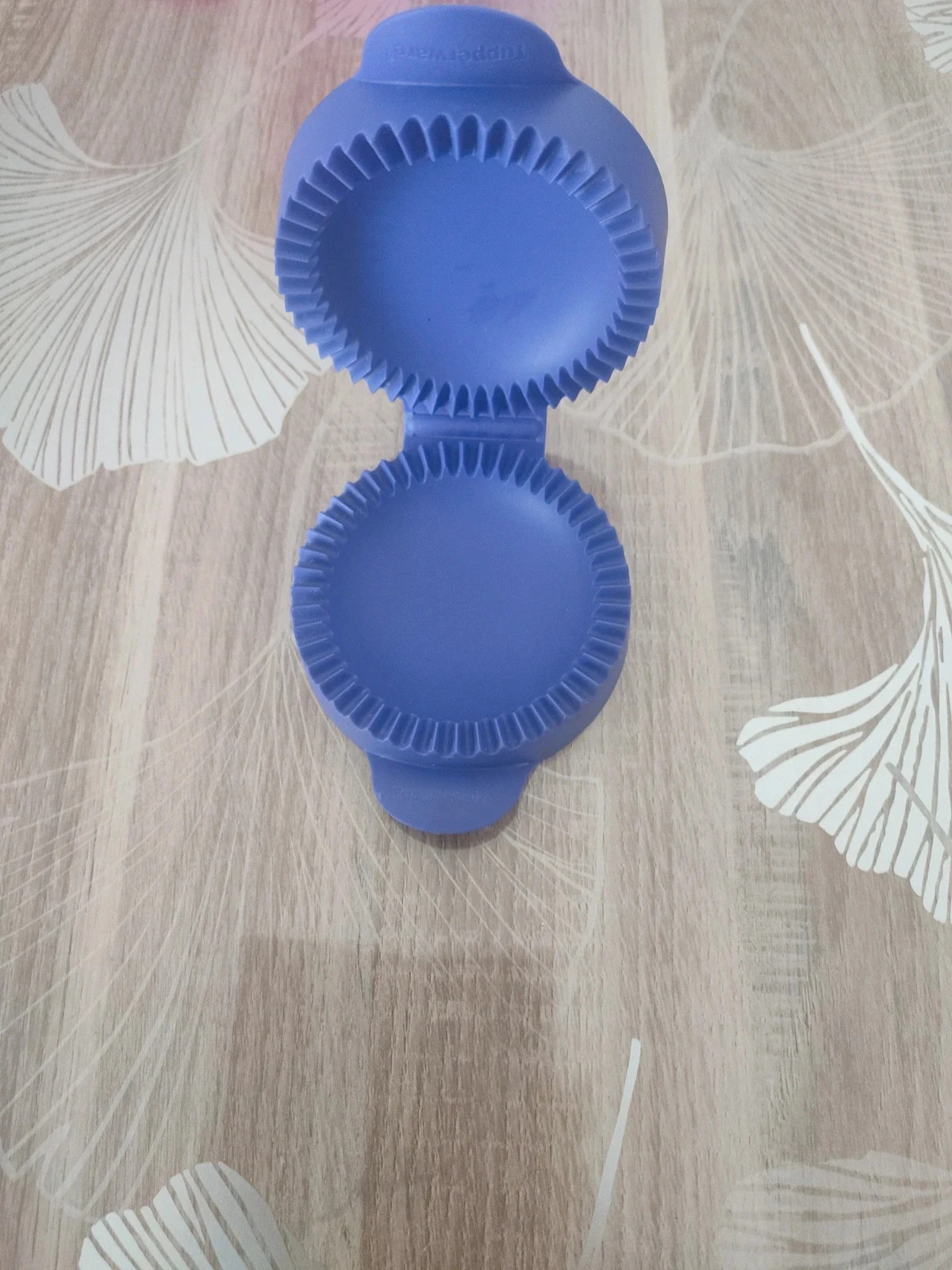 Chaussons Party tupperware – photo 2
